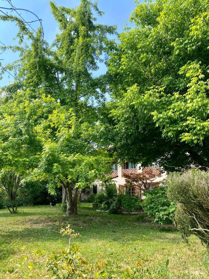 Locanda Del Molino Vecchio Magliano Alfieri Exteriör bild