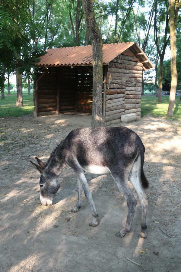 Locanda Del Molino Vecchio Magliano Alfieri Exteriör bild