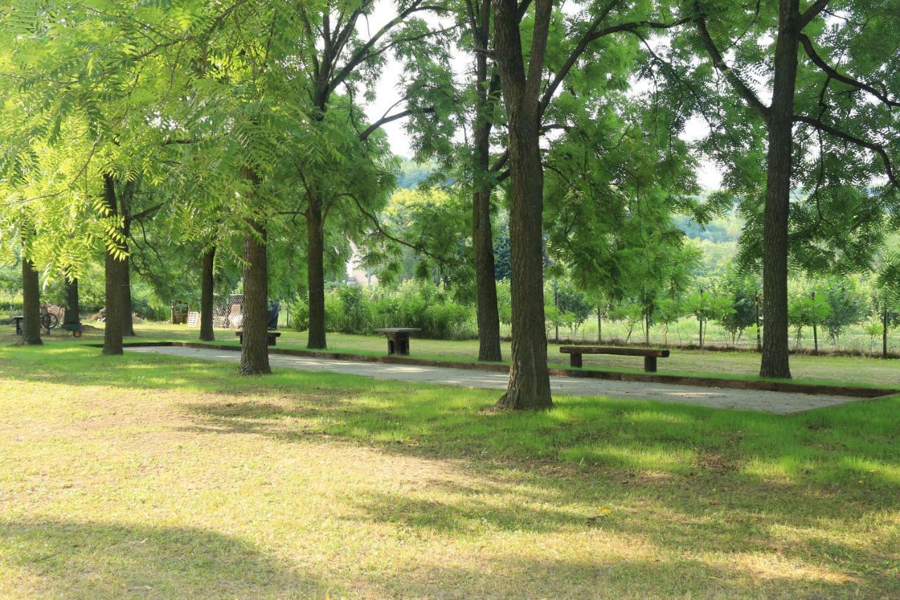 Locanda Del Molino Vecchio Magliano Alfieri Exteriör bild